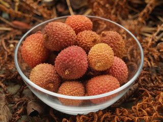 Lychee