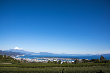 Fototapeta na wymiar 日本平から望む冬の富士山と駿河湾