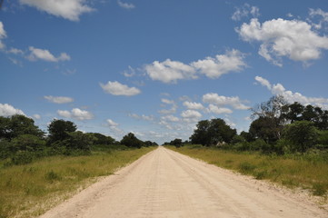Fototapeta na wymiar The African Road. Namibia