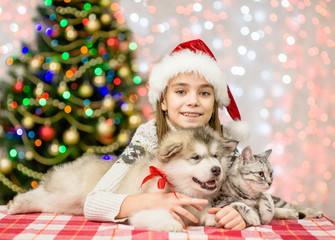 Fototapeta na wymiar happy girl in red santa hat hugging puppy and kitten on a background of the Christmas tree