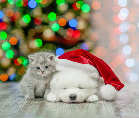 Fototapeta na wymiar Kitten and samoyed puppy in red santa hat on a background of the Christmas tree