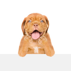 Obraz premium Surprised puppy above white banner. isolated on white background