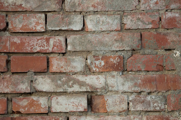 Naklejka premium Textured Bricks