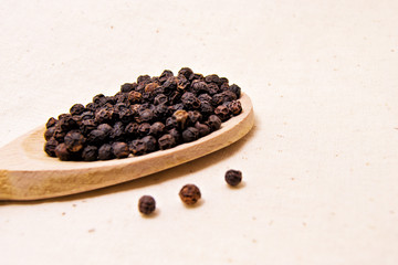Fototapeta na wymiar soft focus of spicy black pepper seeds on a wooden spoon (piper nigrum - piperaceae - piperales)