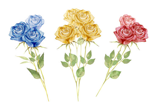 薔薇 花束 水彩 イラスト Stock イラスト Adobe Stock