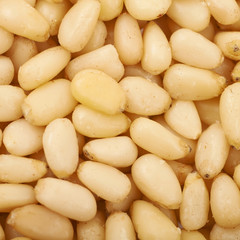 Surface coated with pine nuts