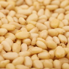 Surface coated with pine nuts