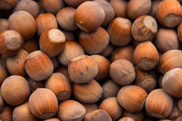 Food background of the hazelnuts. Fresh filbert close-up