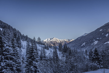 Fototapeta premium mountains
