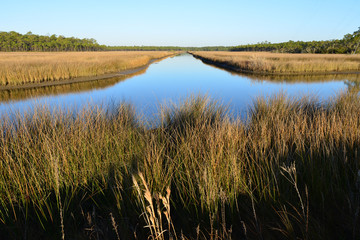 Bayou in Alabama on a winters morning.
