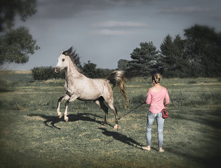 Obraz na płótnie Canvas Free horse runs around a women. Horsemanship scene . Horse free dressage or groundwork