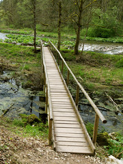 Obraz premium Wutachschlucht