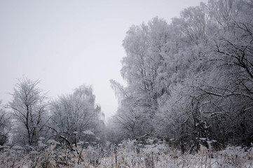 Obraz na płótnie Canvas Cold Russian winter