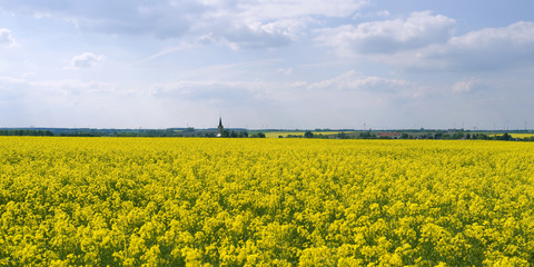 Altkirchen / Germany: View over a seemingly endless yellow flowering rape field to the small village in the rural Altenburg County