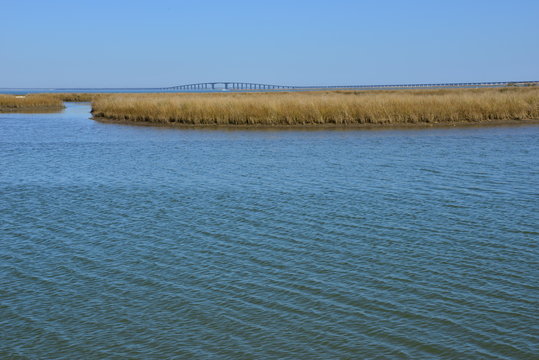 An inlet at Dauphin lsland with the road bridge in the background.