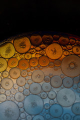 organic abstract macro bubbles texture