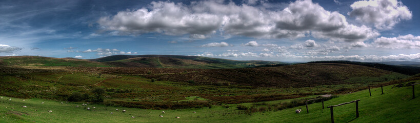 Naklejka premium Dathmoor in England- panoramic Landscape