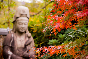 Buddha enjoys autumn