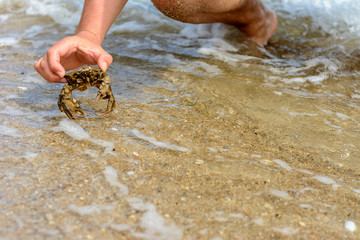 A man caught a beautiful crab in the stormy waves of the black sea