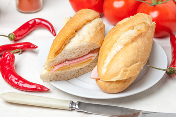 Italian panini sandwich.