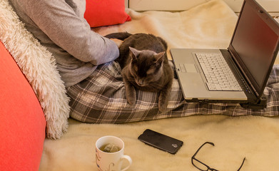 Woman in pajamas with cat in her lap  using a laptop with glasses, a phone and a  mug next to her