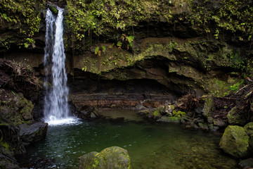 Emerald Pool, Morne Trois Pitons National Park, Dominica