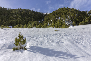 Winter pyrenes landscape near Roc Del Quer trekking trail, Village of Canillo. Andorra.