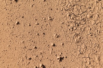 surface broken brown soil for background