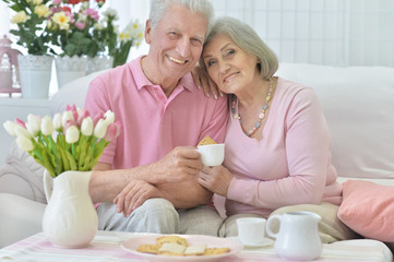 Obraz na płótnie Canvas happy senior couple drinking tea 