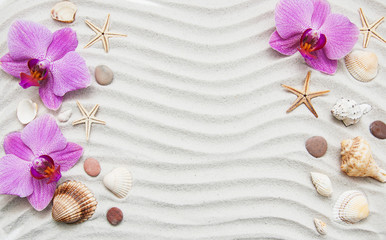 Obraz na płótnie Canvas Seashells and starfish border