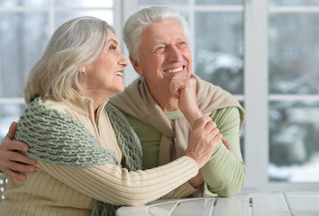 happy senior couple at home showing something 