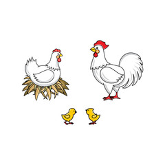 vector flat white rooster, cock with red crest, hen chicken in hay nest and yellow chicks. Isolated illustration on a white background. Farm poultry advertising, poster design.