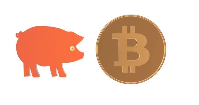 Crypto currency is flying into the piggy bank. 