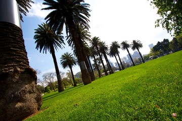 Fototapeta premium Park in Melbourne