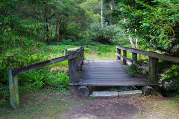 Fototapeta premium Wooden bridge accross in Australian forest