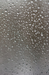 raindrops on the window glass