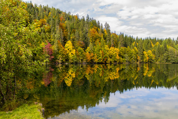 lake reflection autumn