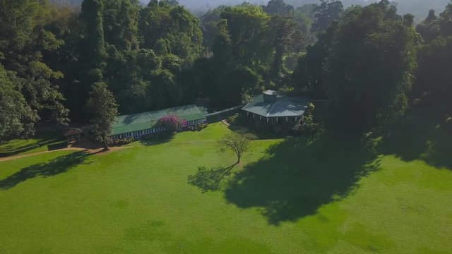 Aerial view of green lawn and lush forest at sunset drone footage