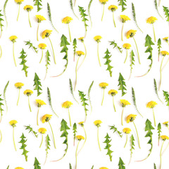 Fototapeta na wymiar Abstract floral background. Seamless pattern from plants, wild flowers, isolated on white background, flat lay, top view. The concept of summer, spring, Mother's Day, March 8. 