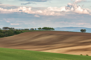 Green wavy hills in South Moravia, Csezh Republic