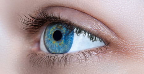 eye eyes