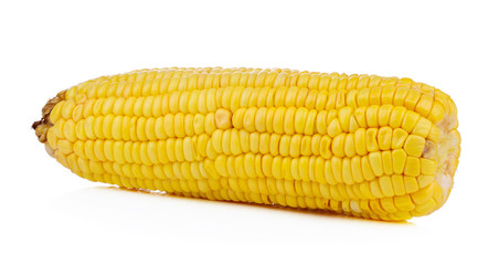 Sweet yellow corn isolated on white background.