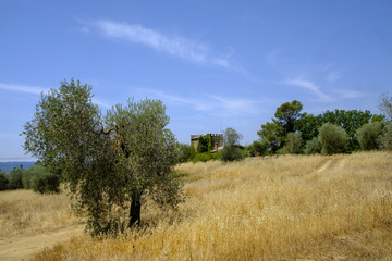 Fototapeta premium Country landscape from Orvieto to Todi, Umbria, Italy