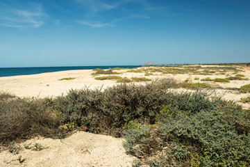 Fototapeta na wymiar Strandlandschaft Kap Verden, Insel Sal