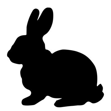 Black silhouette of fluffy rabbit or hare sitting  isolated on white