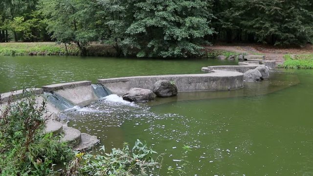 Creek in the city park 
