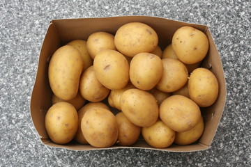Kartoffeln, Erdäpfel