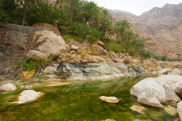 Naklejka na ściany i meble Beautiful Eastern landscape. Wadi Bani Khalid. Wadi Shab. Oman.