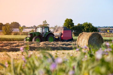 Obraz premium France > Paysage > Agriculture > Moisson