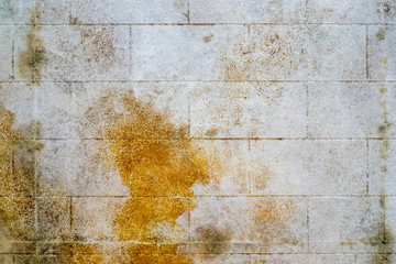 mold stained wall